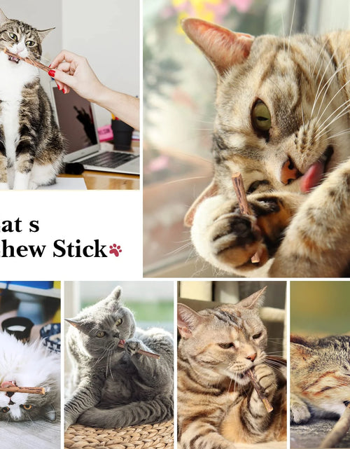 Load image into Gallery viewer, 32 PCS Cat Toys Kitten Toys, Variety Catnip Toys with Rainbow Tunnel Interactive Cat Feather Teaser Spring Toy Set for Cat, Kitty
