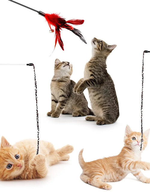 Load image into Gallery viewer, 32 PCS Cat Toys Kitten Toys, Variety Catnip Toys with Rainbow Tunnel Interactive Cat Feather Teaser Spring Toy Set for Cat, Kitty
